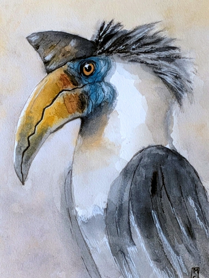 Exposition aquarelle "Bestiaire imaginaire"